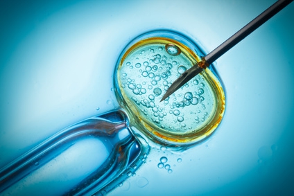 Spermienstammzellen werden gegen Unfruchtbarkeit eingesetzt