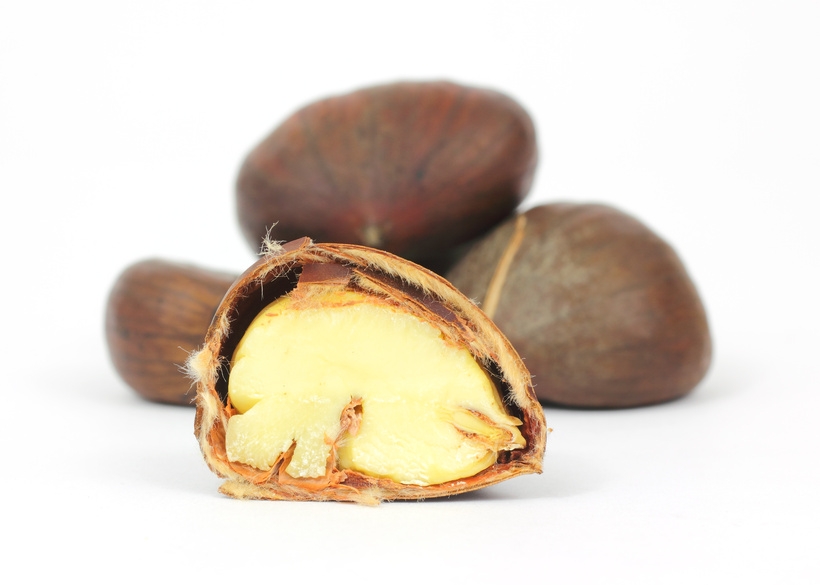 © Bert Folsom - Fotolia.com