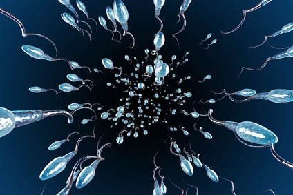 © stockshoppe - Fotolia.com