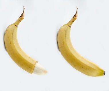 © timsaxonphoto - Fotolia.com