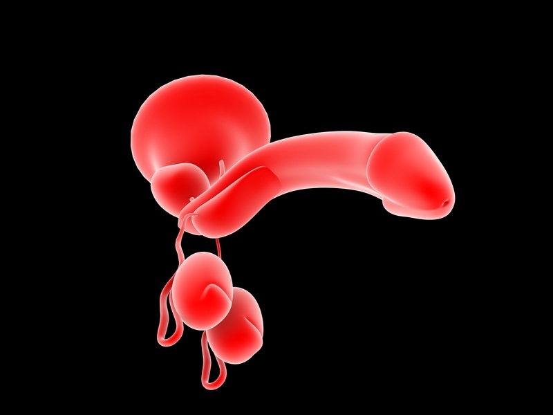 © RAJCREATIONZS - Fotolia.com