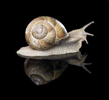 © PRILL Mediendesign - Fotolia.com