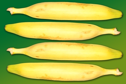 © Leonardo Franko - Fotolia.com