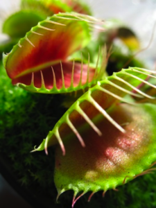 © Jane / Fotolia