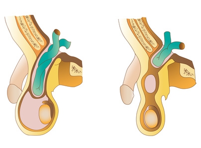 © p6m5 - Fotolia.com