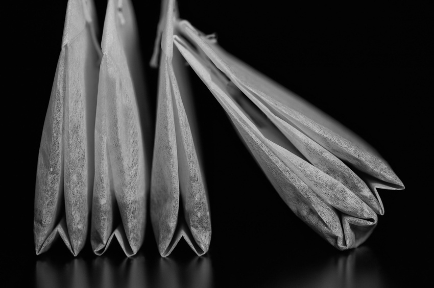 © hs-creator - Fotolia.com