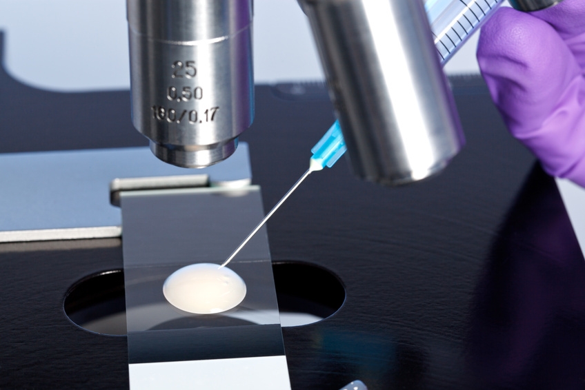 © RTimages - Fotolia.com