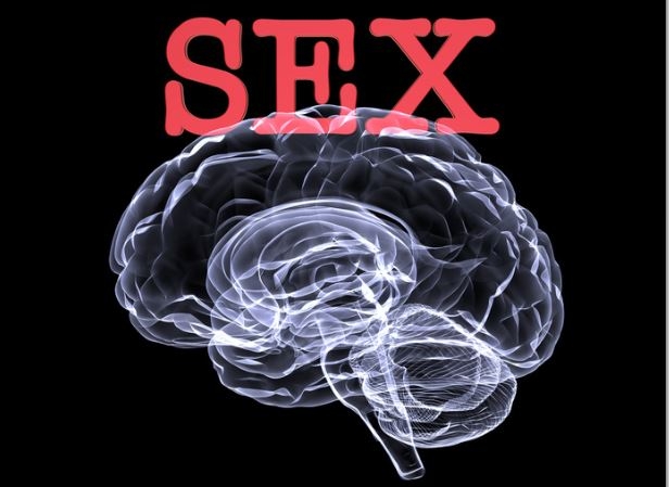 © Jeffrey Collingwood - Fotolia.com