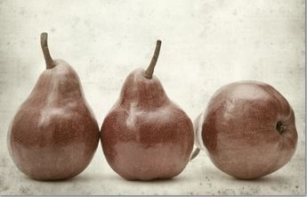 © Tamara Kulikova - Fotolia.com