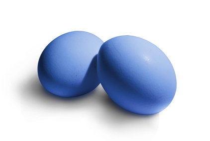 © AnLi - Fotolia.com