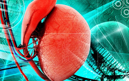 © krishnacreations - Fotolia.com