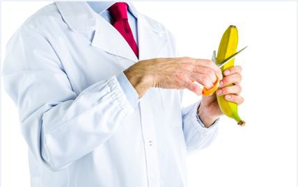 GoneWithTheWind - Fotolia.com