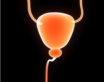 © 7activestudio - Fotolia.com