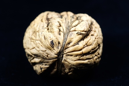 © PhotographyByMK - Fotolia.com