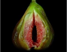 11 Überraschende Fakten über die Vagina