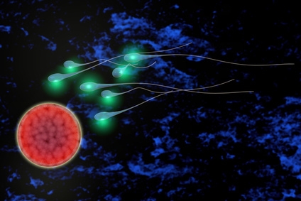 © fotoliaxrender - Fotolia.com