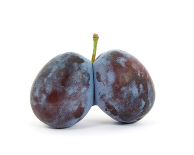 © dinostock - Fotolia.com