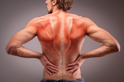 Rückenschmerz adé – mit diesen Übungen