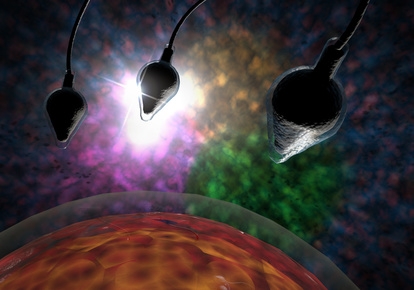 © Ezume Images - Fotolia.com