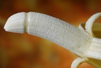 © Herbivore - Fotolia.com