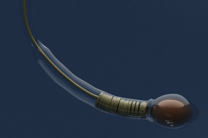 © popyconcept - Fotolia.com