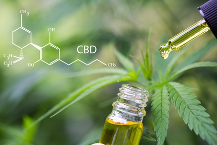 Alles über CBD-Öl