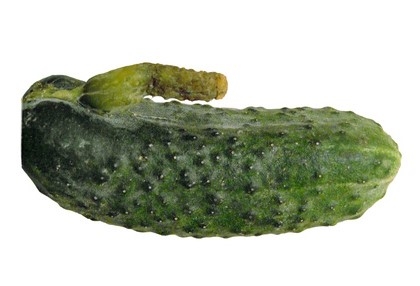 © by_adr - Fotolia.com