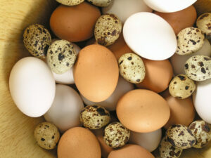 © Ewa Brozek - Fotolia.com